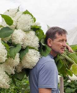 A man carrying a bunch of white flowers.