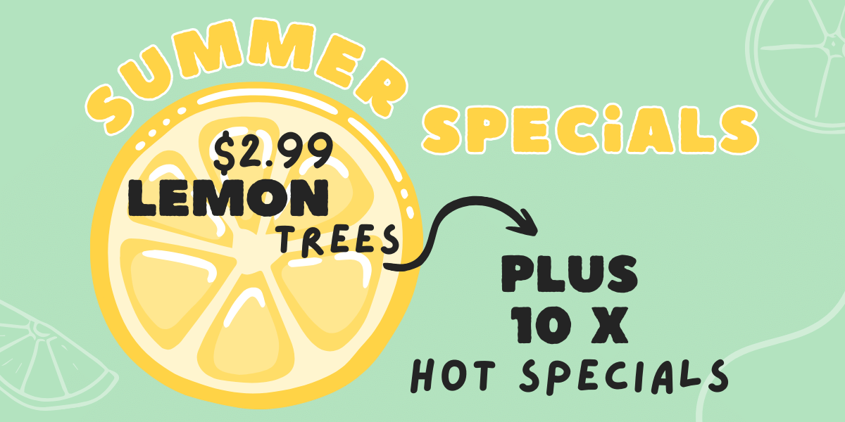 Summer Specials: $2.99 Lemon Deal & More