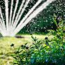 watering garden, sprinkler, water