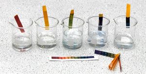 A group of beakers with different colored liquids in them. Litmus paper