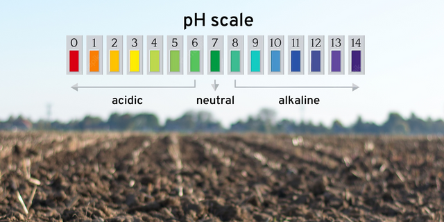 The ph scale is shown in a field.