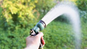 watering garden with hose
