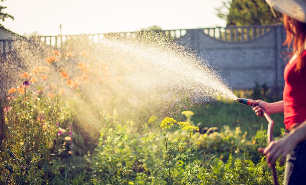 How to be a Master at Watering