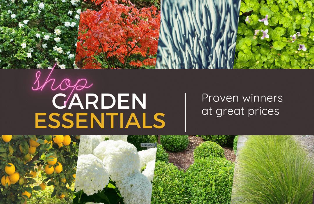 Choosing garden plants is easy with our Garden Essentials