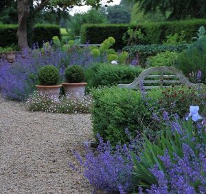 Colour Themed garden, purple, flowers