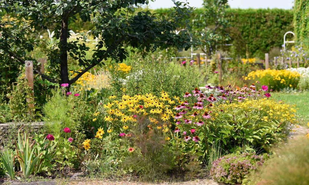 Colour Themed garden, flowers