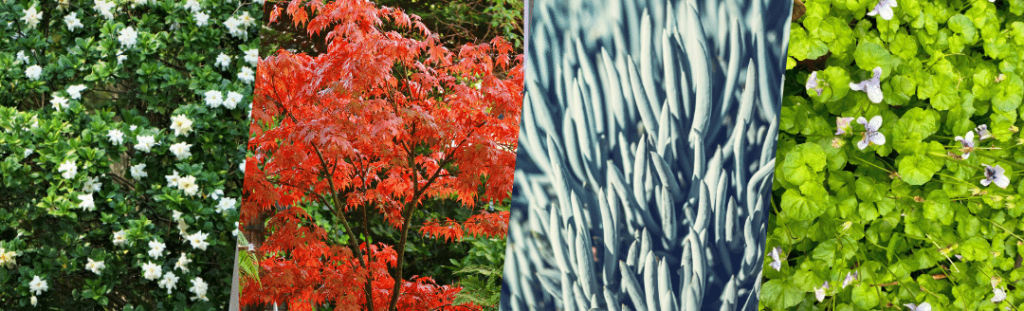 A picture of a tree adorned with vibrant leaves in modern gardens