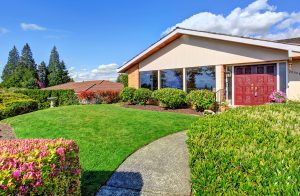 Garden Beds around house