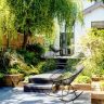 A small garden with a wooden bench and a tree, featuring top indoor plants for added greenery.