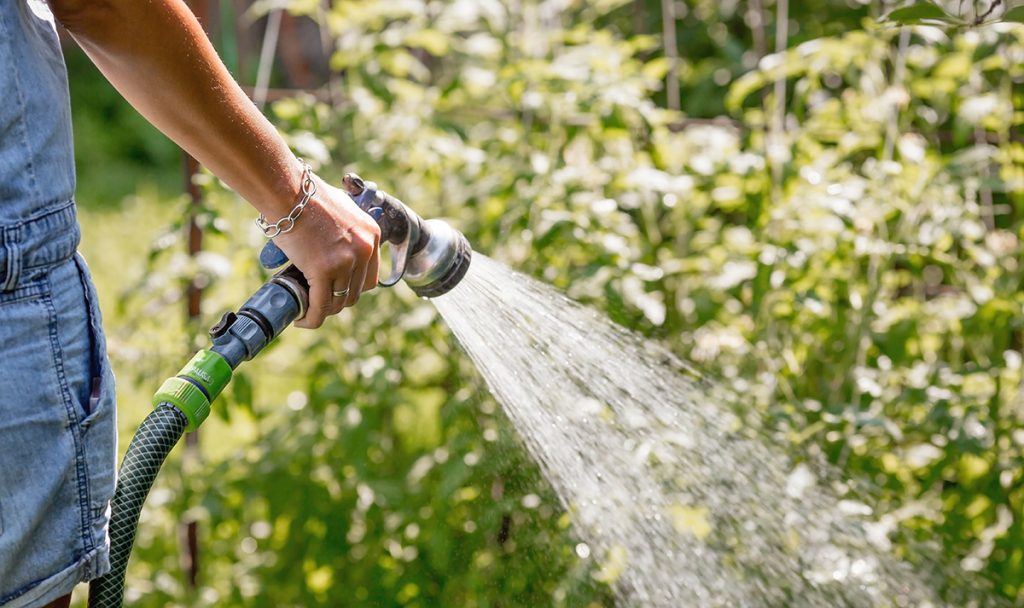 watering garden with hose