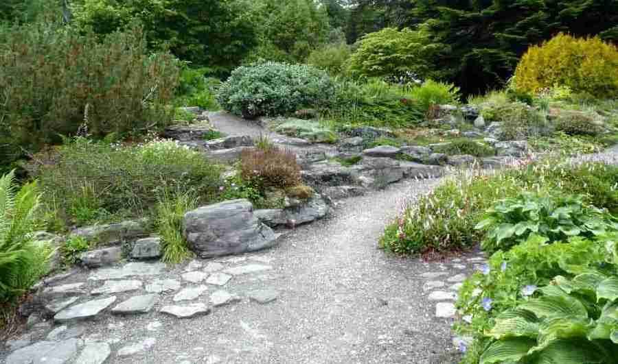 A garden full of rocking plants and rocks featuring a rocky path.