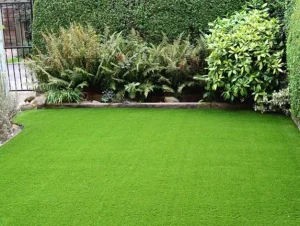 lawn in garden