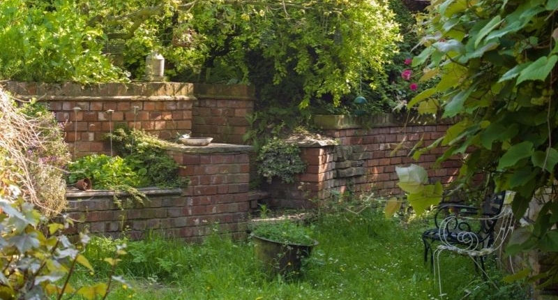 A garden with a brick wall and some top indoor plants.