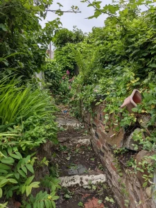 A stone path leading to a garden full of top indoor plants.