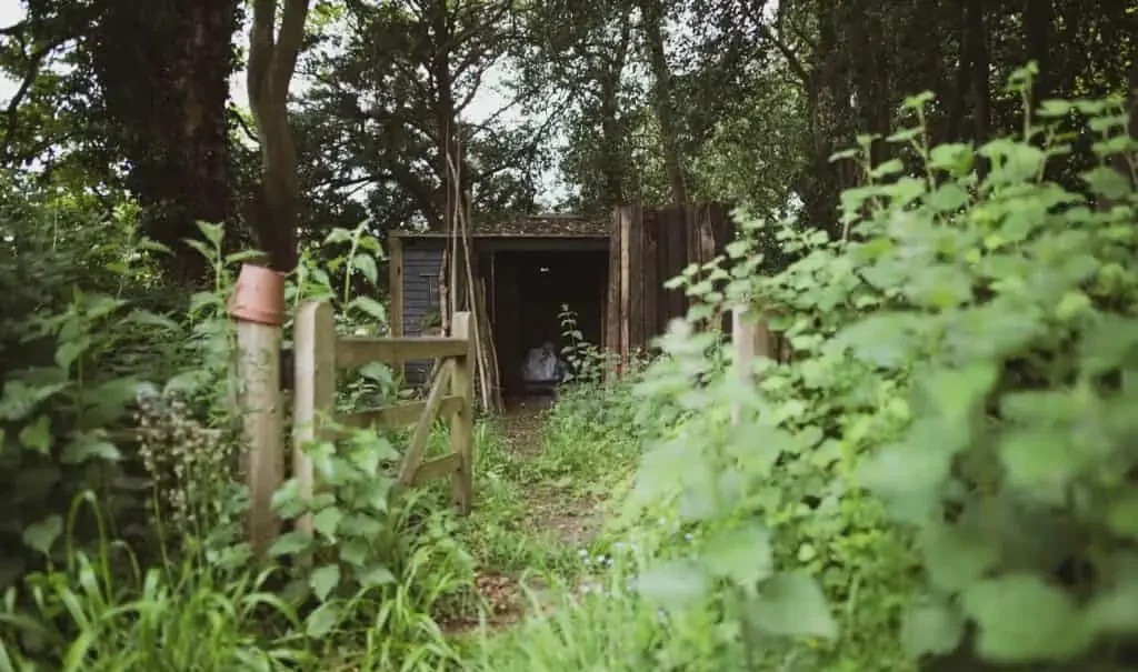 A small wooden shed amidst lush woods, nestled amongst top indoor plants.