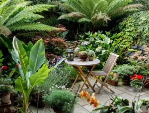 A garden filled with top indoor plants and a table.