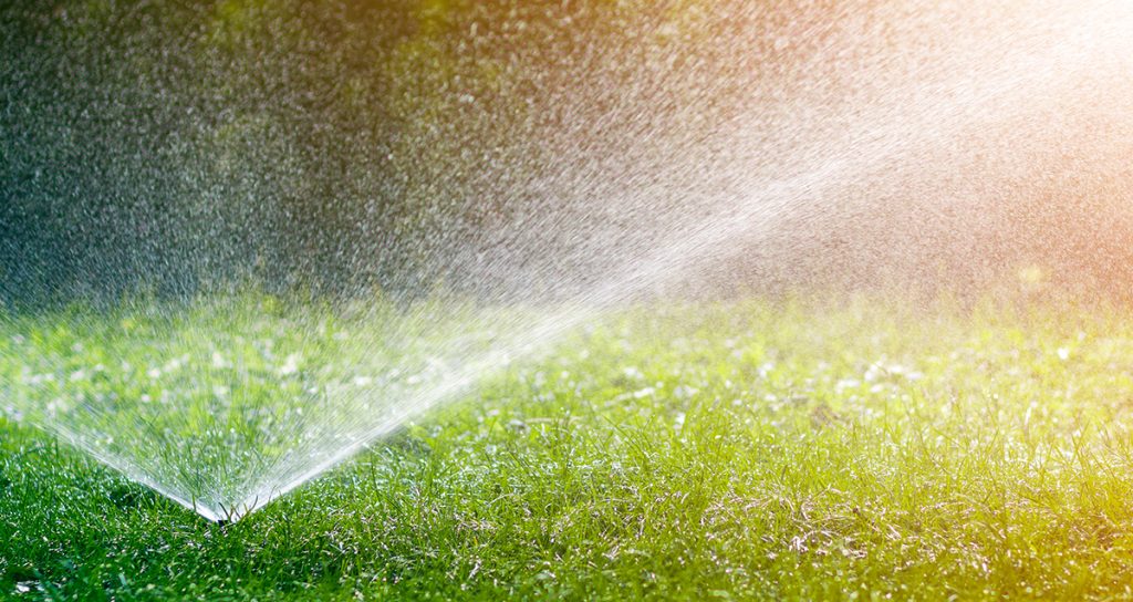 A modern sprinkler is spraying water on a green lawn, embracing the styles of modern gardens.