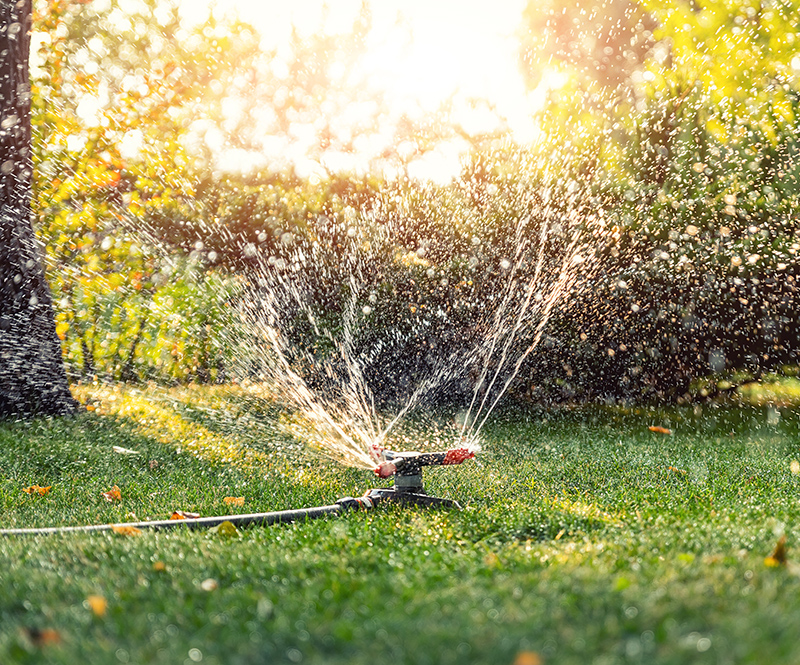 How to be a Master at Watering