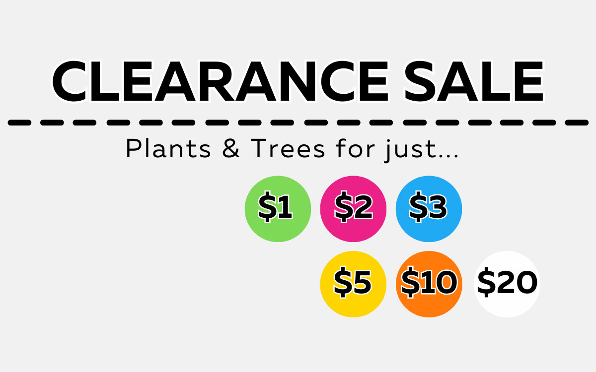 Thousands of Plants & Trees for $1, $2, $3 and $5, $10, $20
