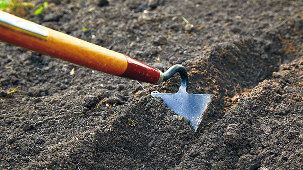 A garden hoe in the dirt.