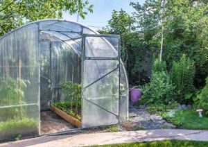 A greenhouse in a backyard with plants in it.