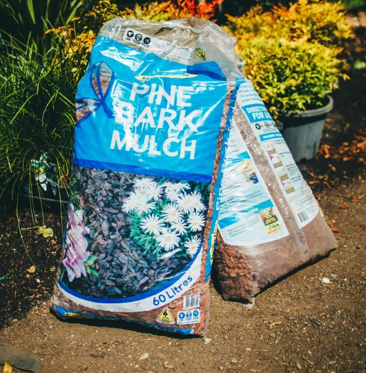 A bag of Searles Mulch Pine Bark 60L sitting on the ground.