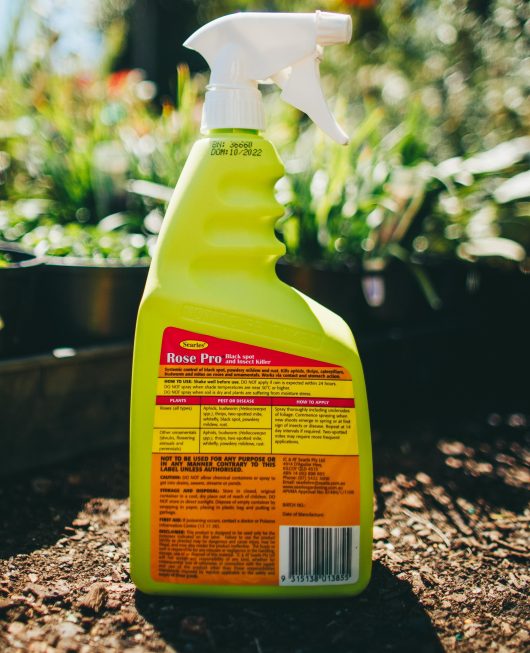 A Searles Rose Pro Insect & Disease Spray 1L bottle, sitting on the ground.