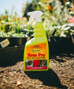 A bottle of Searles Rose Pro Insect & Disease Spray 1L, an effective insect and disease spray, sits on the ground.