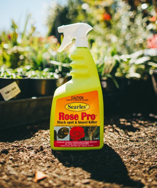 A bottle of Searles Rose Pro Insect & Disease Spray 1L, an effective insect and disease spray, sits on the ground.