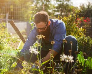 A man carefully tending to the intricate garden design, kneeling down amidst a beautiful array of flowers and plants.