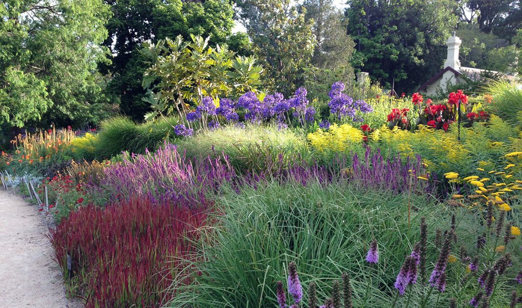 A garden full of colorful flowers, designed with a stunning path. Melbourne