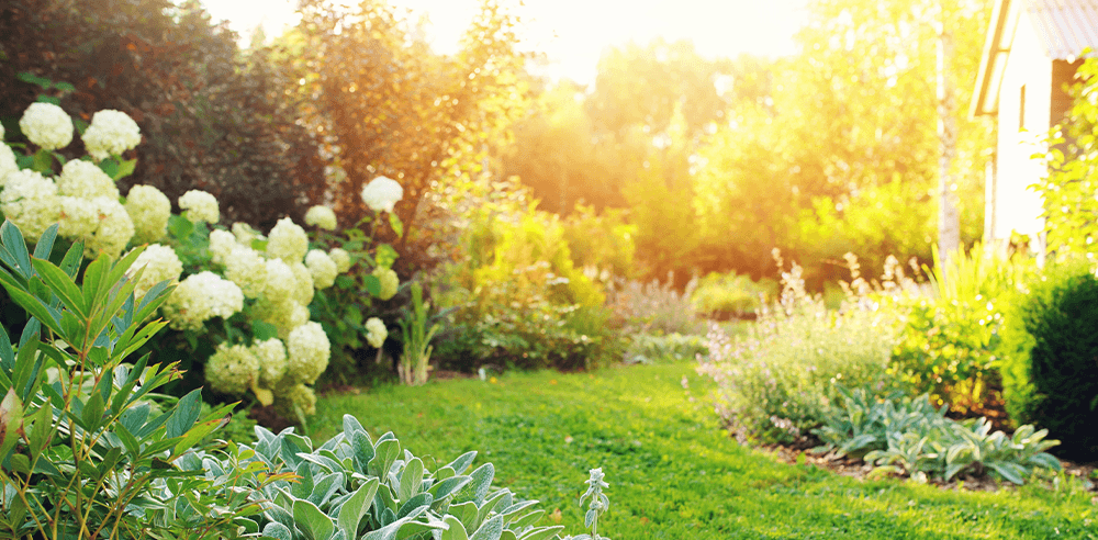 A beautifully designed garden with lush grass and vibrant flowers, all basking in the warm sun.