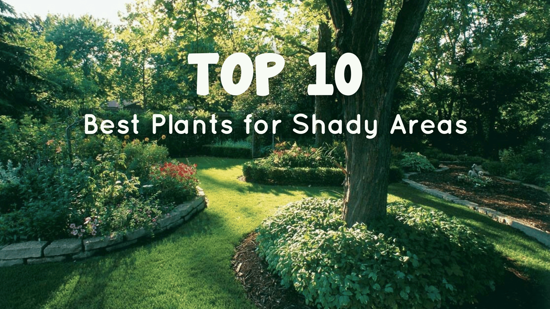 Text overlay stating "top 10 best indoor plants for shady areas" on a background of a lush garden with various green plants and trees under dappled sunlight.