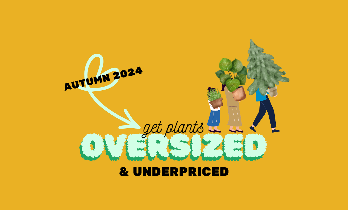 Promotional graphic for the "autumn 2024: affordable gardens - oversized & underpriced" sale, featuring cartoon people carrying large plants.