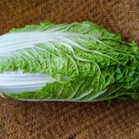A fresh head of Cabbage 'Wa Wa Tsai' (Wombok) 4" Pot lies on a woven bamboo mat.