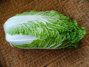 A fresh head of Cabbage 'Wa Wa Tsai' (Wombok) 4" Pot lies on a woven bamboo mat.