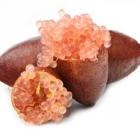 Whole and sliced finger limes with translucent pink caviar-like pulp visible, isolated on a white background. Citrus Red Finger Lime fruit citrus australasica