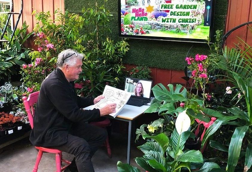 Chris sits at a laptop at Hello Hello Plants, engaged in a video garden design.