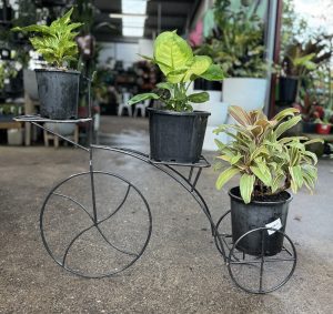 A charming Bicycle Plant Stand holds three potted plants in an outdoor garden center.