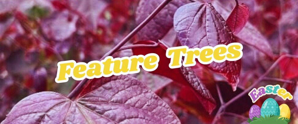 Close-up of red and purple leaves with the text "Feature Trees" in yellow and white letters. An Easter Shopping Event graphic with colorful eggs is in the bottom right corner.