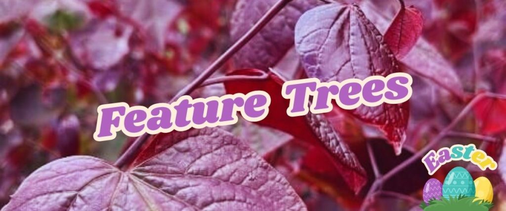 Purple-hued leaves with the text "Feature Trees" in bold, white letters announce an exciting flash sale. A small Easter-themed graphic with eggs decorates the lower right corner, adding a festive touch.