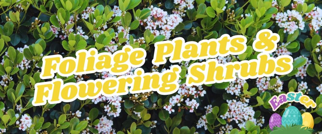 A background of green foliage and small white flowers, overlaid with text that reads "Foliage Plants & Flowering Shrubs" in yellow. An Easter Shopping Event graphic with colorful eggs is nestled in the bottom right.