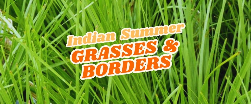 Tall green grass blades with the text "Indian Summer Grasses & Borders" in bold orange and white lettering across the center, highlighting an Easter Flash Sale.