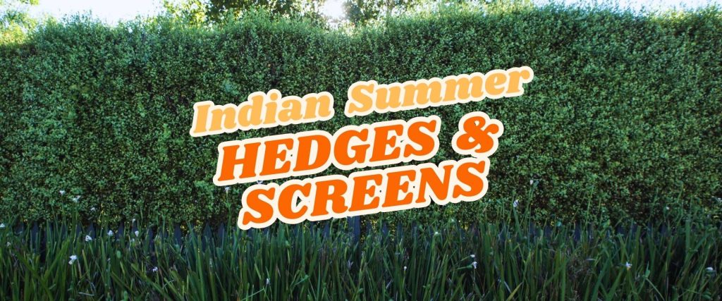 A green hedge with the text "Indian Summer HEDGES & SCREENS" in bold orange and white letters overlaid on the image, highlighting an exciting Easter Flash Sale.