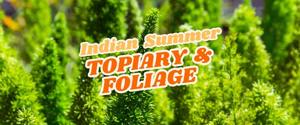 Bright green topiary plants with dense foliage, overlaid with the text "Indian Summer Topiary & Foliage" in bold, white and orange letters. Celebrate our Easter Flash Sale and refresh your space with vibrant greenery!.