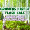 Text reads "Growers Direct Easter Flash Sale. Advanced trees at not so advanced prices." Background shows a birch tree forest with illustrated trees on the left.