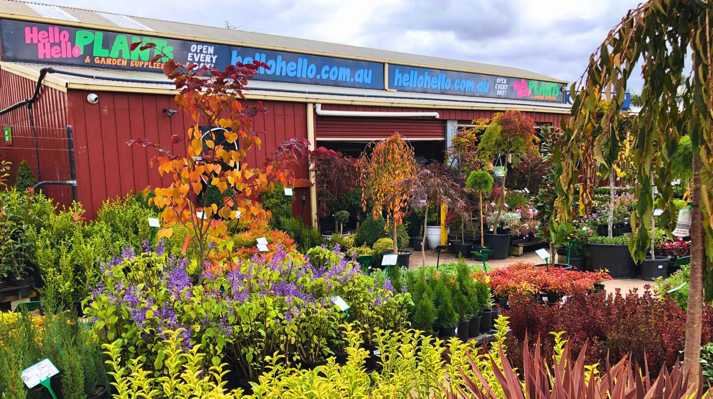 Get the Right Plants on Site Cheaply, Easily and On Time