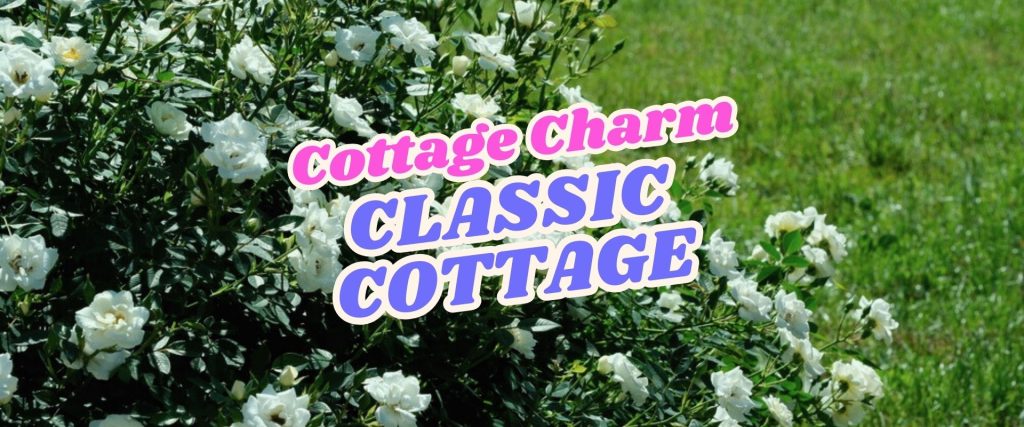 Bush of blooming white roses with bold text "Cottage Charm CLASSIC COTTAGE" overlaid, set against a green grassy background—perfect inspiration for a Cottage Garden retreat.