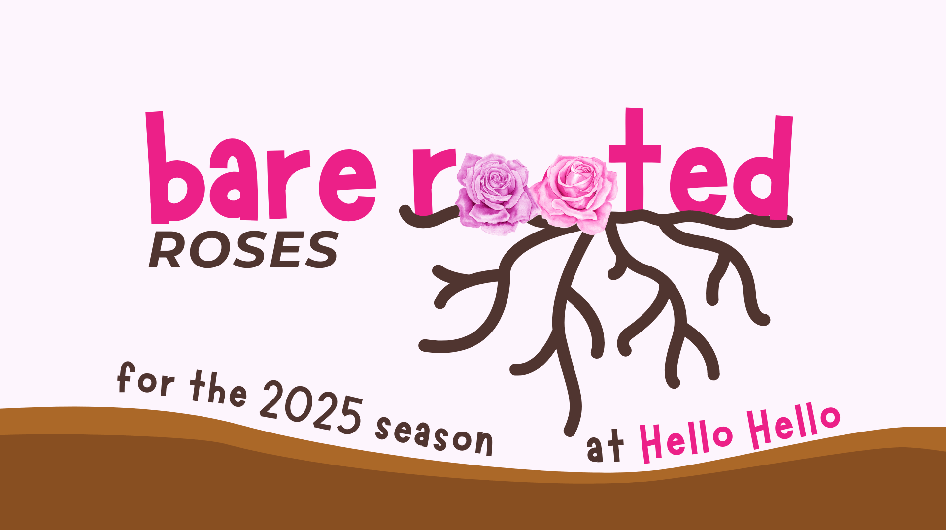 We have the Biggest Display of Bare Rooted Standard Roses!