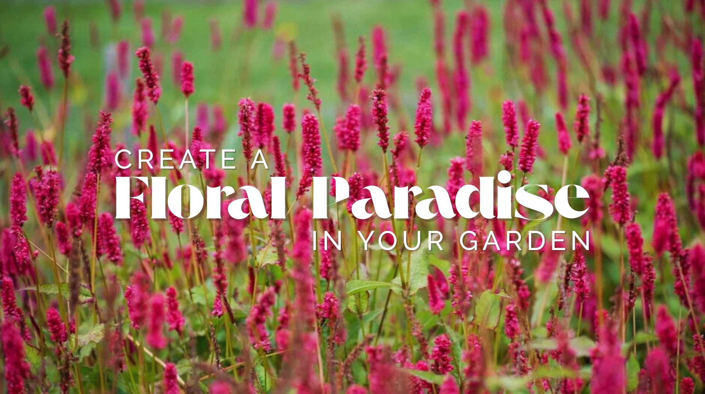 Create a Floral Paradise in Your Garden